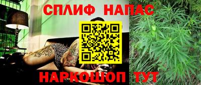 apvp Будённовск