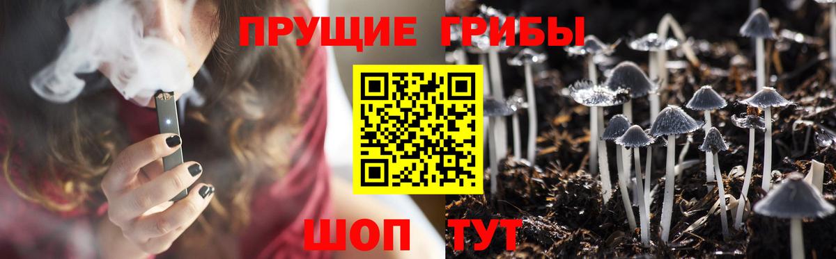 Псилоцибиновые грибы прущие грибы  Вход с VPN  Отрадный 