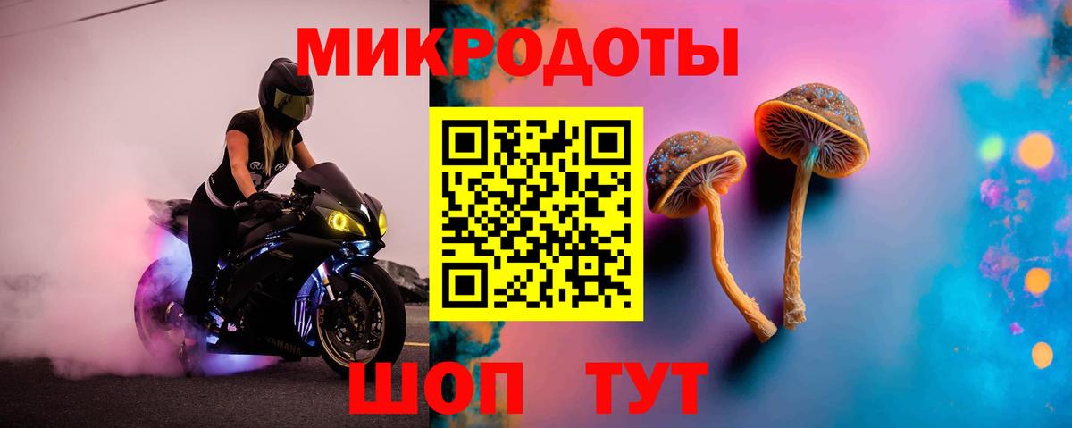 Псилоцибиновые грибы мицелий Отрадный
