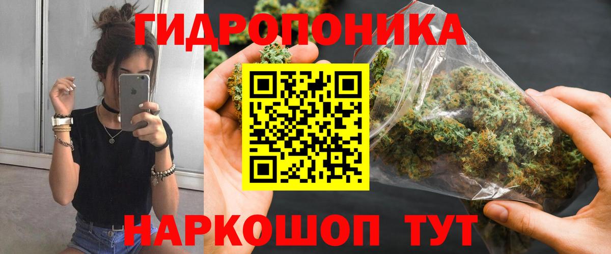Канабис марихуана  Бошки Шишки план  Отрадный  Вход с VPN 